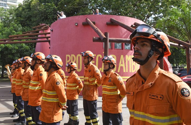 Planejamento e atuação eficiente garantem proteção do bioma Pantanal durante todo o ano