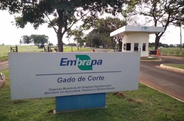 Concurso da Embrapa segue com inscrições abertas; salários podem chegar a R$ R$12,8 mil