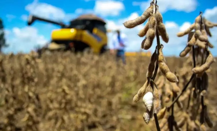 China suspende compra de soja de 3 empresas de MS por contaminação com agrotóxico