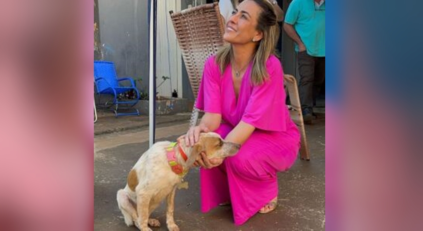 CCZ de Dourados passará por reforma para 'garantir dignidade aos animais' 