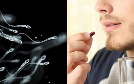 Cientistas começam a testar anticoncepcional masculino em humanos