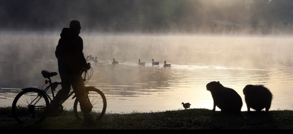 A 10 dias do inverno, MS tem frio de 6ºC e Capital registra sensação de 2ºC 