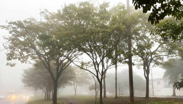 Defesa Civil faz novo alerta para frio intenso e orienta população sobre prevenção