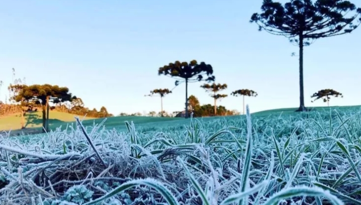 Geada atinge 18 municípios de Mato Grosso do Sul 