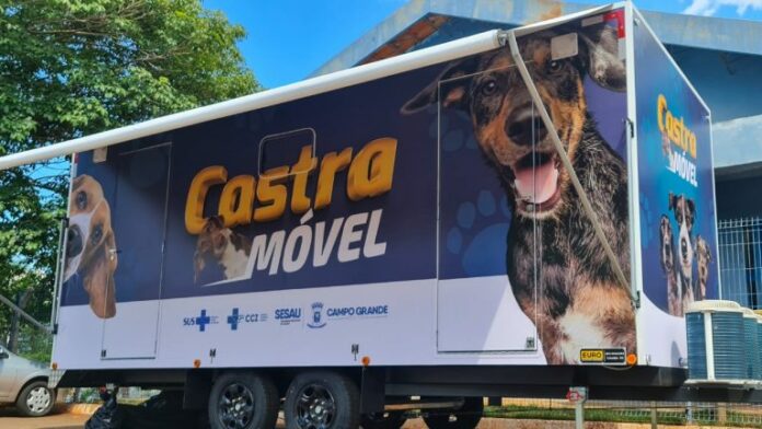 Castração e vacinação de cães e gatos serão oferecidas em shopping da Capital
