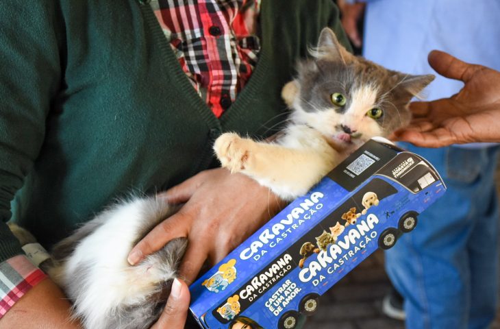 Com estrutura inédita, atendimentos da Caravana da Castração mostram impacto direto na população
