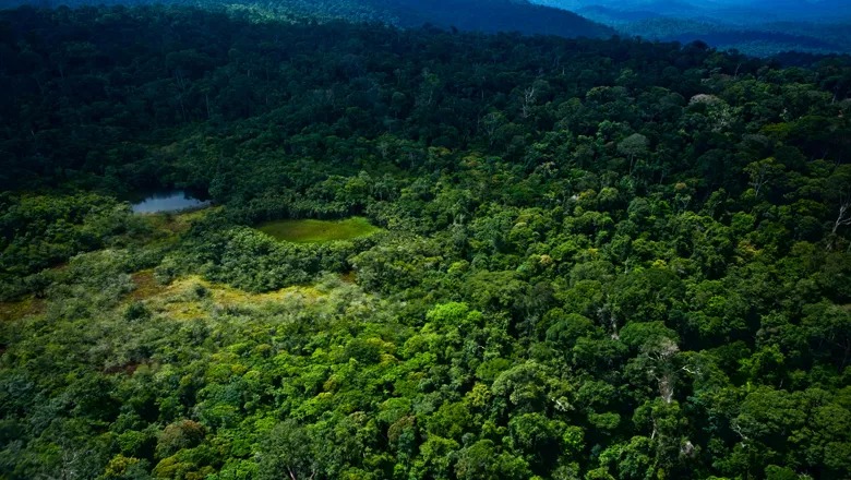 STJ decide que reserva legal não entra no cálculo de pequena propriedade rural