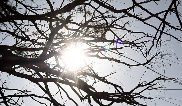 Agosto começa com sol e tempo seco em MS; máxima deve alcançar os 35°C 