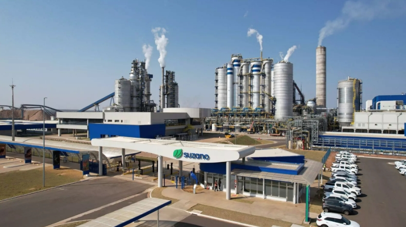 Empresa de celulose tem 6 processos seletivos abertos em 3 cidades de MS