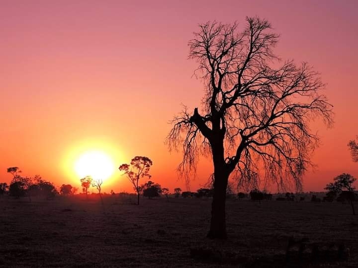Mato Grosso do Sul enfrenta cenário crítico de calor e seca