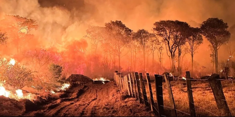 Emergência ambiental é prorrogada por causa do calor e tempo seco em MS