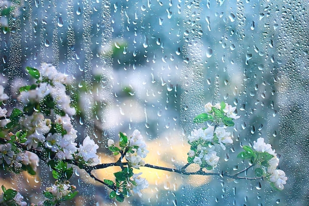 Primavera começa nesta segunda-feira (22), com a chegada de frente fria 