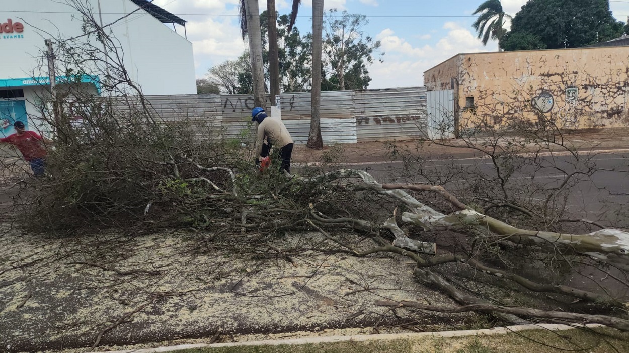 Prefeitura de Dourados dá rápida resposta a atendimentos por queda de árvores em início de primavera chuvosa