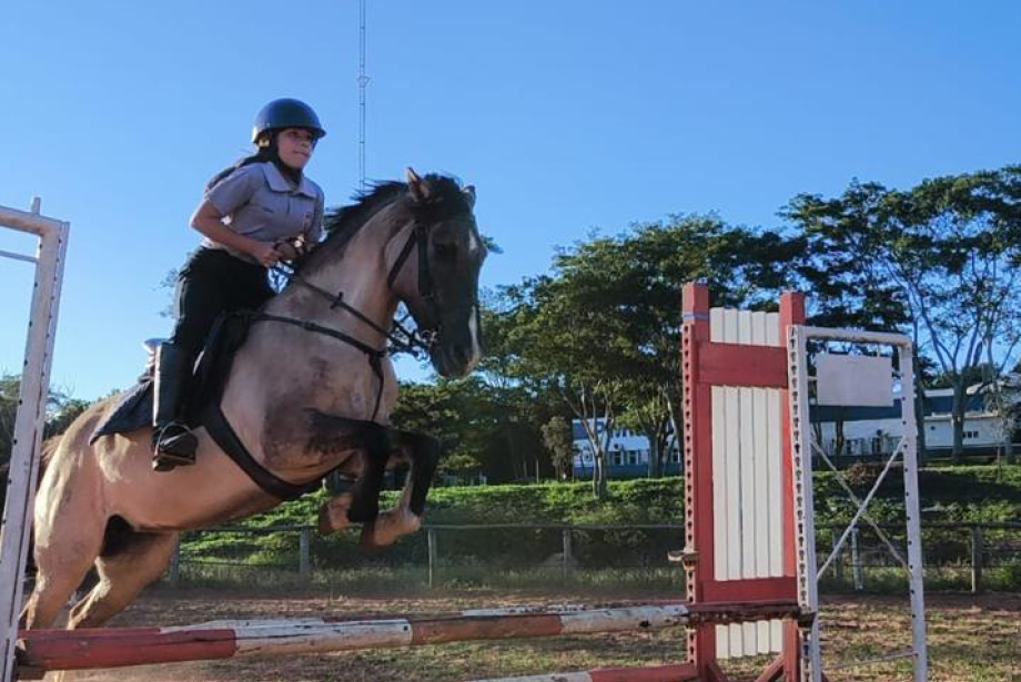 MS inaugura primeira escola de equitação pública