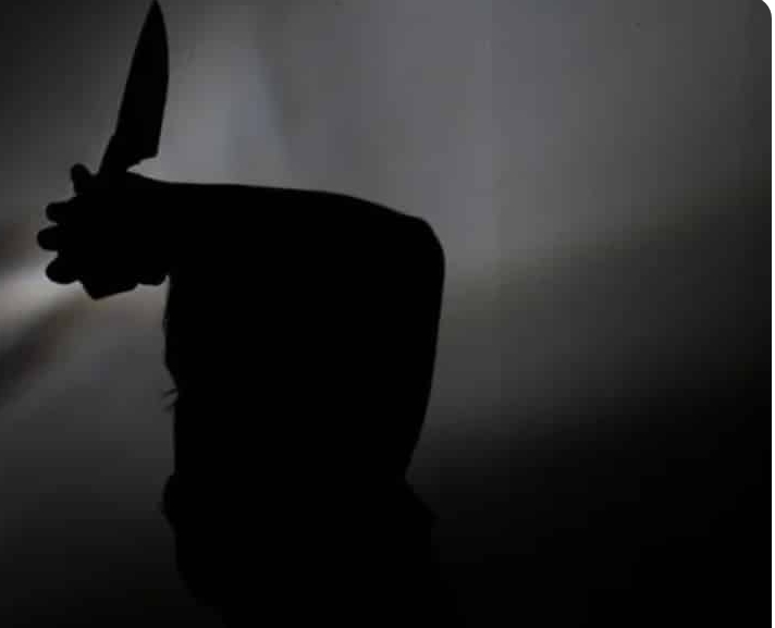  Criança de 9 anos mata mãe esfaqueada em SP