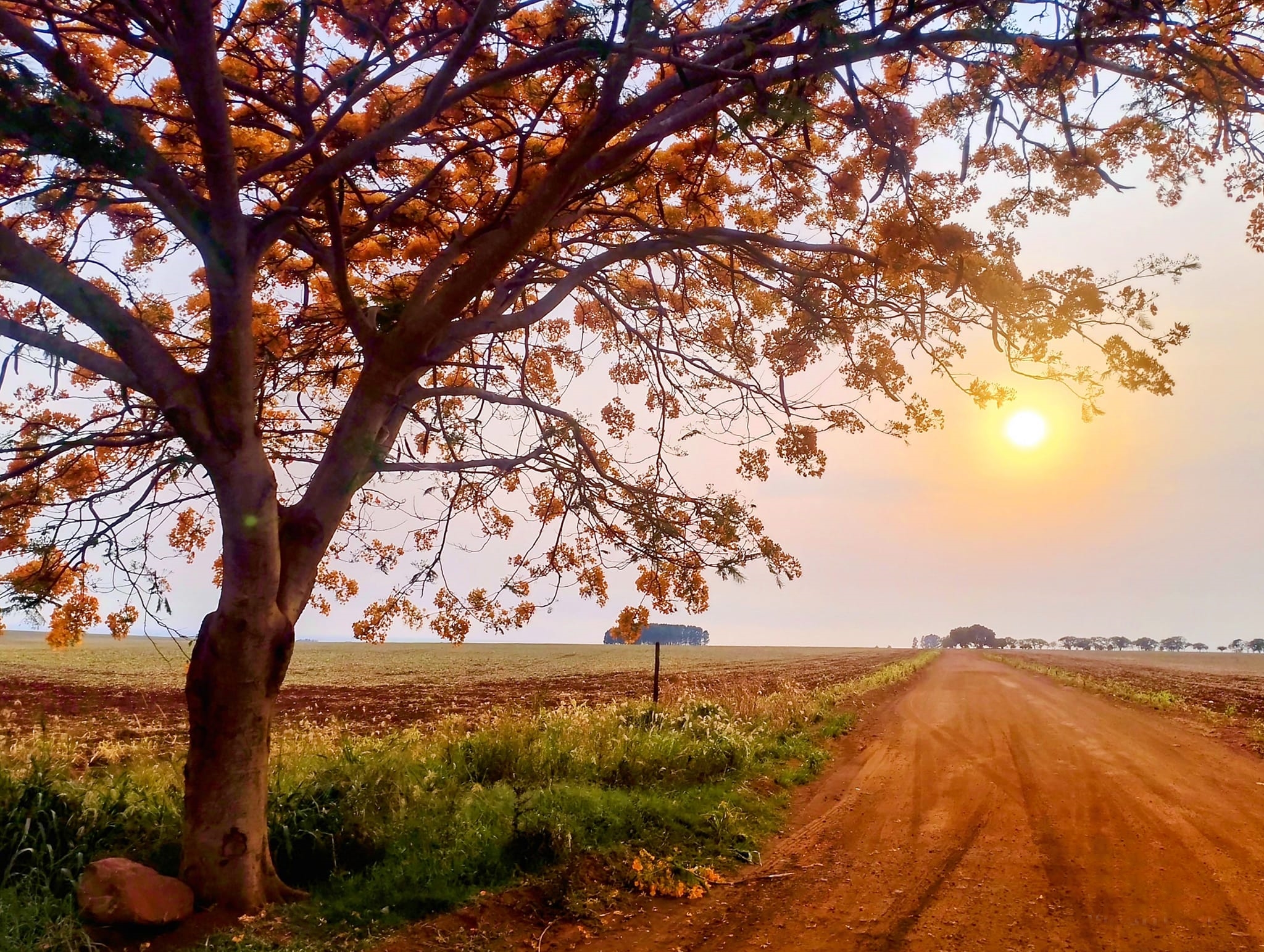 Calor extremo e umidade de deserto marcam início da semana em Mato Grosso do Sul