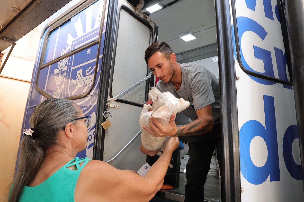 Prefeitura orienta que tutores levem animais em jejum para castração; veja todos os cuidados