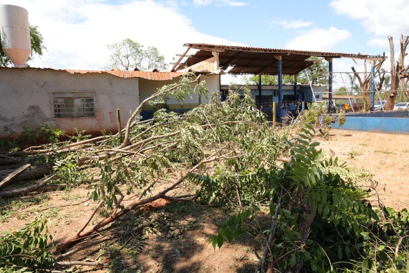 Prefeitura vai decretar emergência para recuperar Escola Fazenda Miya após temporal