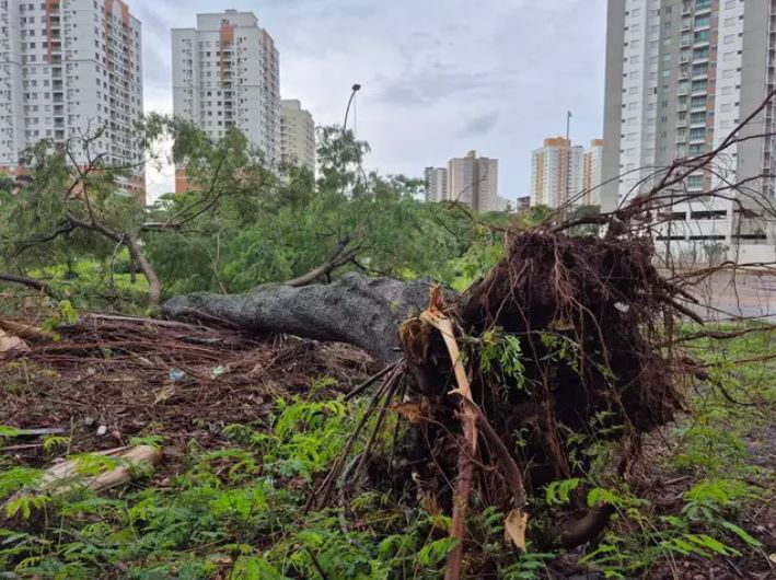 Temporal causa alagamentos e arrasta carros na capital