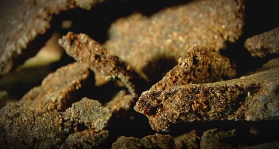 Polícia descobre 40kg de cocaína negra em mansão de luxo 