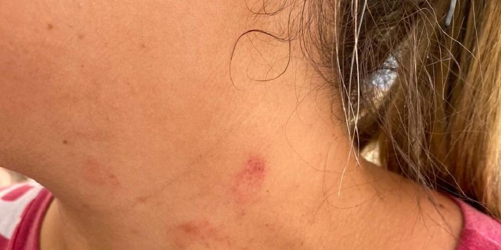 Homem é preso após tentar esmagar ex-mulher com carro contra a parede em MS