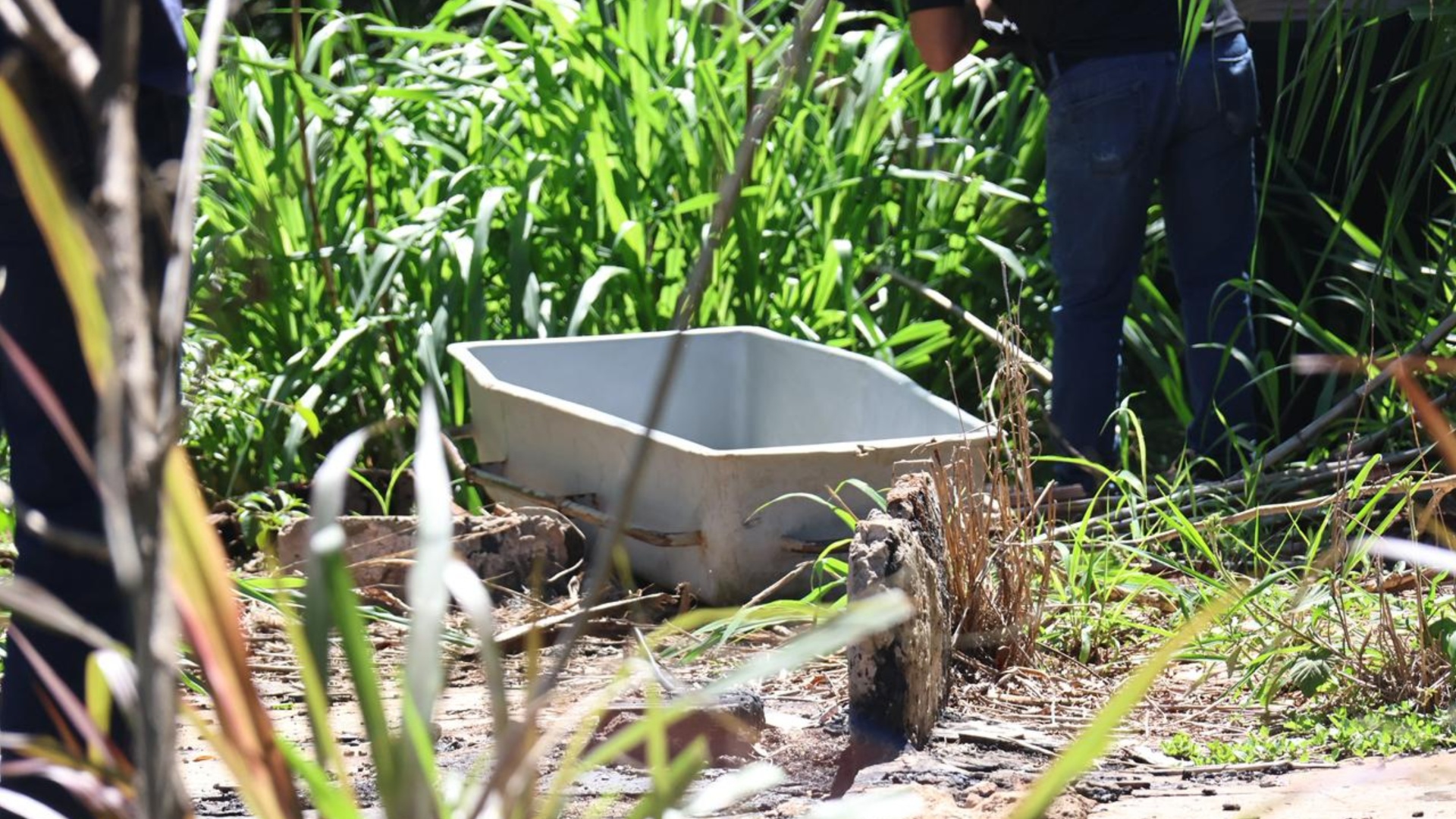 Vingança e brutalidade: homem é morto e enterrado em cova rasa na capital