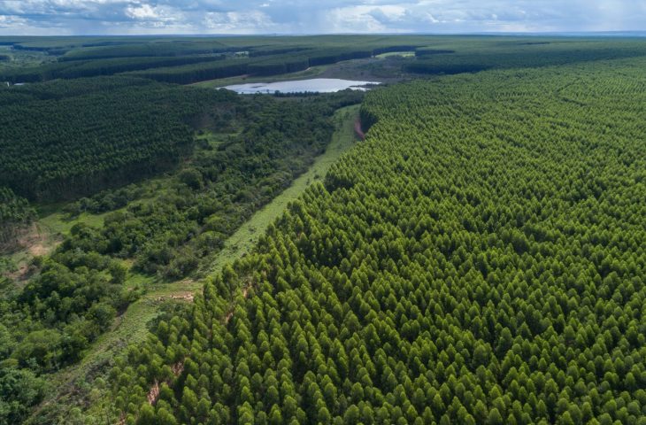 Mato Grosso do Sul combina crescimento econômico e preservação ambiental