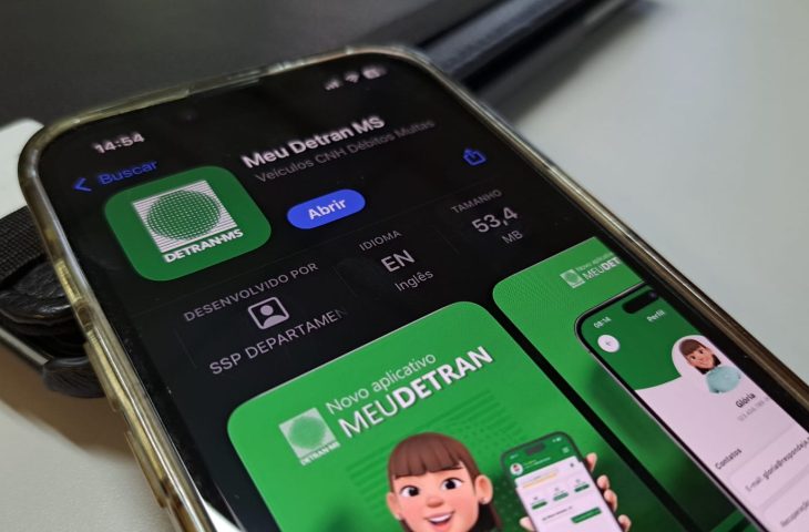 Ex-donos de veículos leiloados pelo Detran podem solicitar o valor que restou após a quitação de débitos