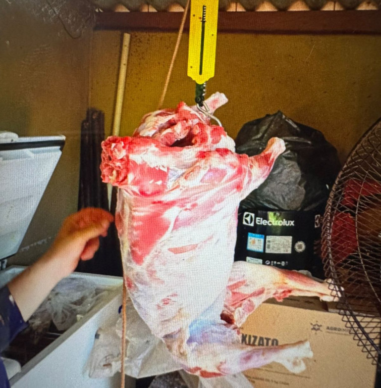 Investigação rápida leva à prisão de autor de furto rural no interior do MS