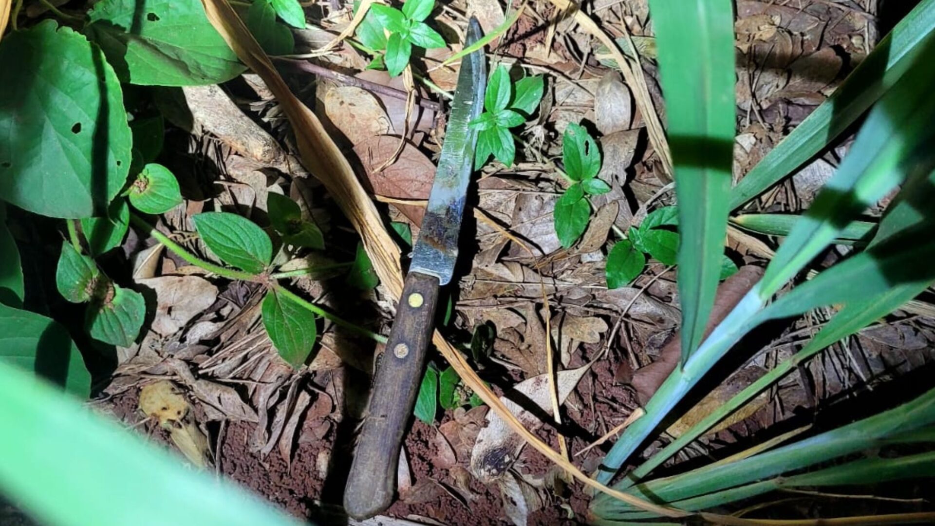 Mulher escapa de tentativa de estupro após intervenção de policial em MS