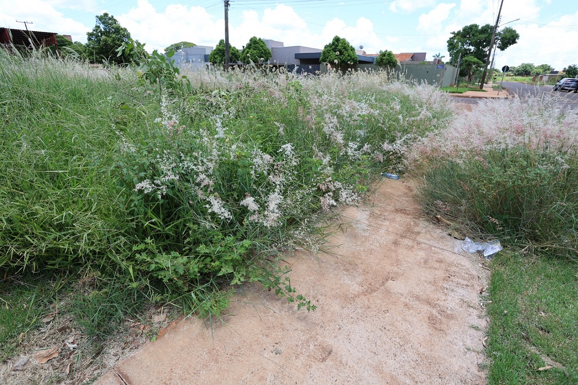 Prefeitura notifica proprietários para roçada e limpeza de terrenos baldios em Dourados