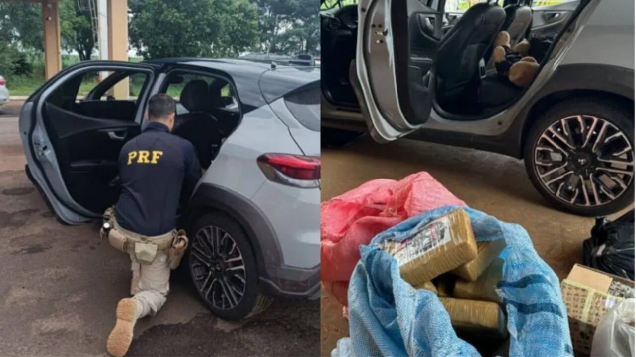 Médica é presa com mais de 70 kg de drogas na BR-267