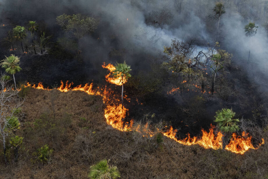 Mais de 2 mil hectares do Pantanal sofrem queimada ilegal em fazenda de Corumbá