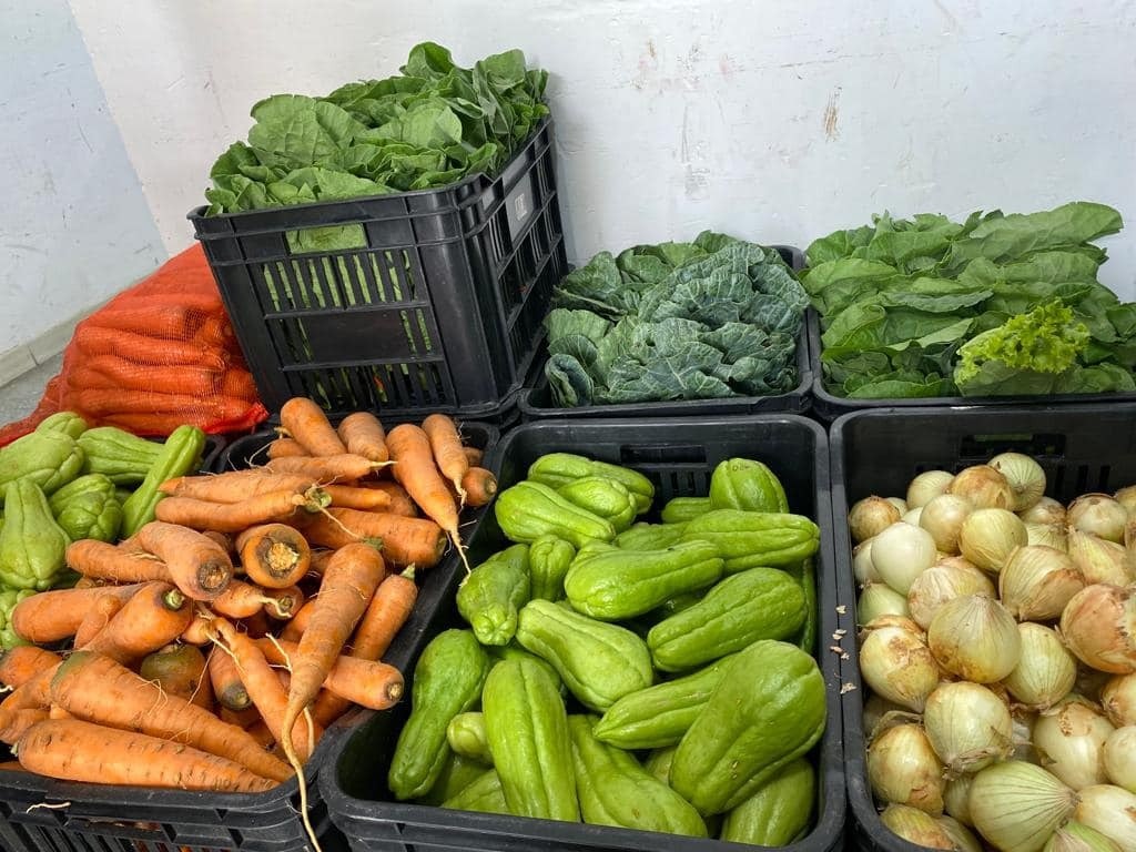 Dourados abre chamada pública para compra de alimentos da agricultura familiar