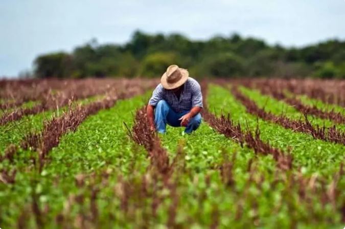 Nova lei muda licenciamento ambiental e impacta produtores rurais