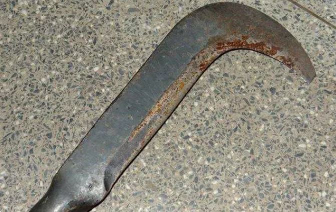 Mulher é atacada com foice após desentendimento em rede social