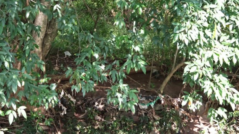 Corpo é encontrado em área de mata do Parque das Nações Indígenas