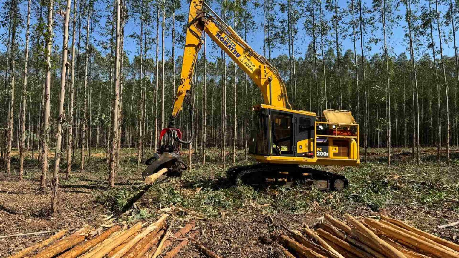 Indústria de celulose abre novas vagas de emprego em Mato Grosso do Sul