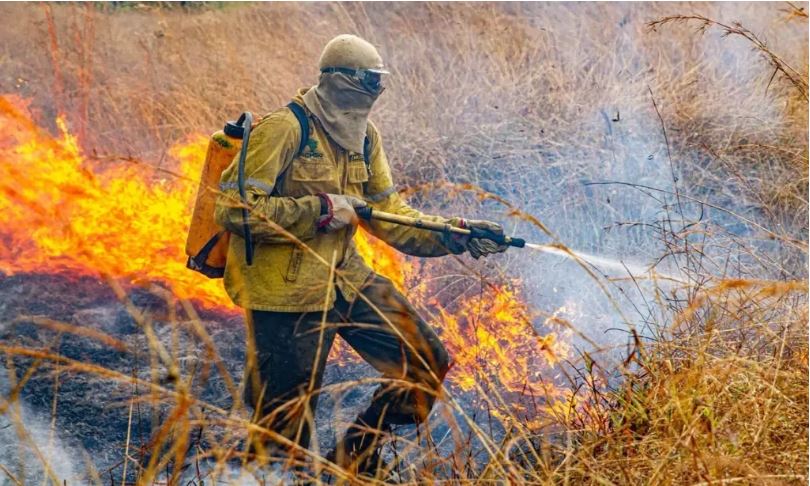 Ministério do Meio Ambiente e Mudança do Clima apresenta plano nacional de combate a incêndios para 2026