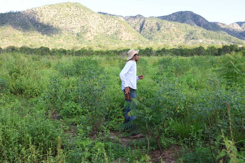 Projeto prevê sete frentes de atuação para conservação do Pantanal e da Serra da Bodoquena