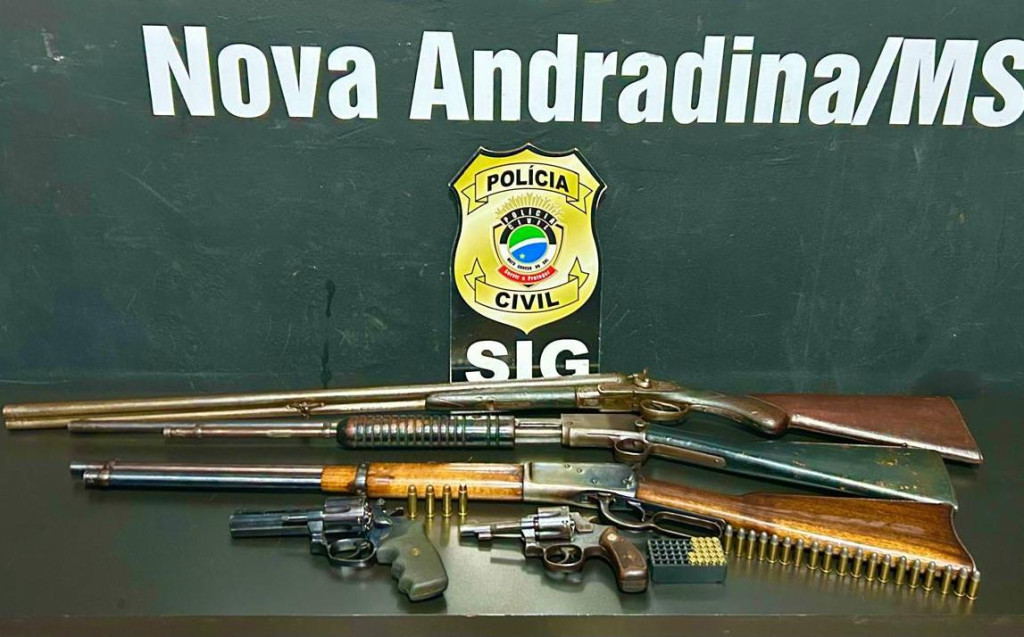 Polícia Civil esclarece furto de gado em fazenda e apreende armas em Nova Andradina