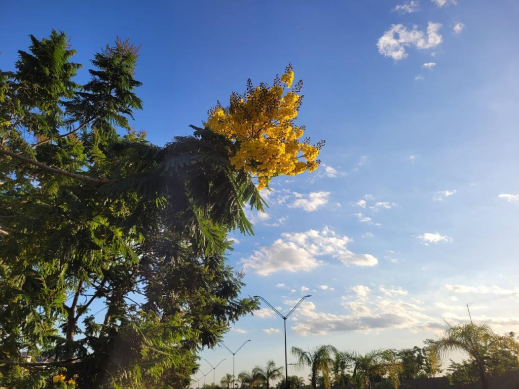 Dourados terá sexta-feira de sol e máxima de 33ºC