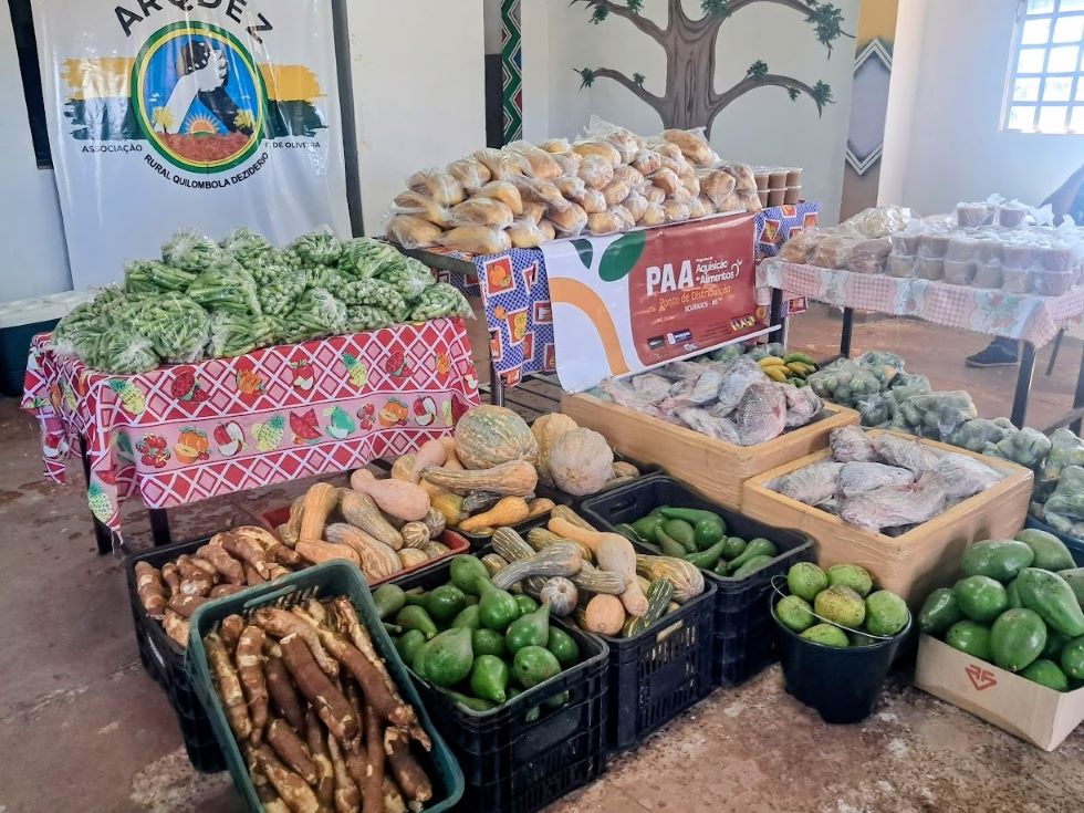 Prefeitura já entregou 76 toneladas de alimentos a indígenas e quilombolas