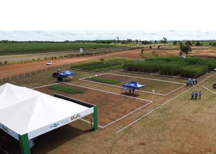 Jornada técnica na Expocanas destaca diversificação de culturas em solos arenosos em MS