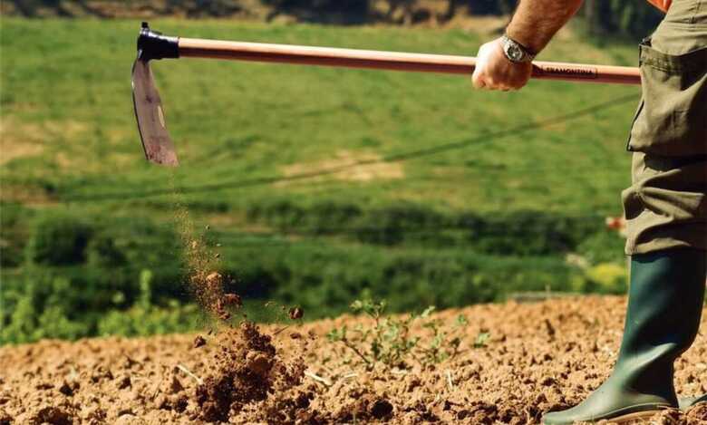 Idoso morre após passar mal enquanto carpia terreno em Campo Grande