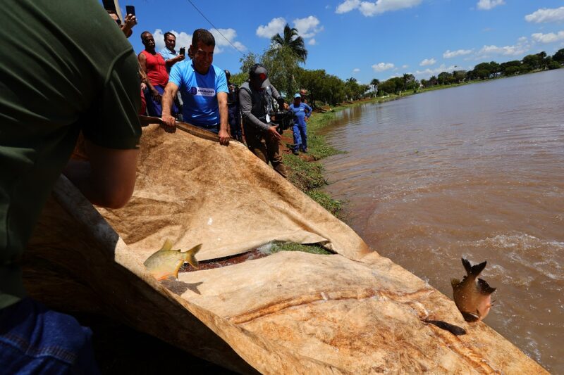 Prefeitura solta 3 toneladas de peixes no Parque Antenor Martins para 2ª Festa da Páscoa