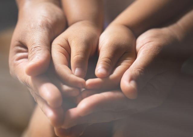 TJMS organiza caminhada para incentivar adoção em Campo Grande