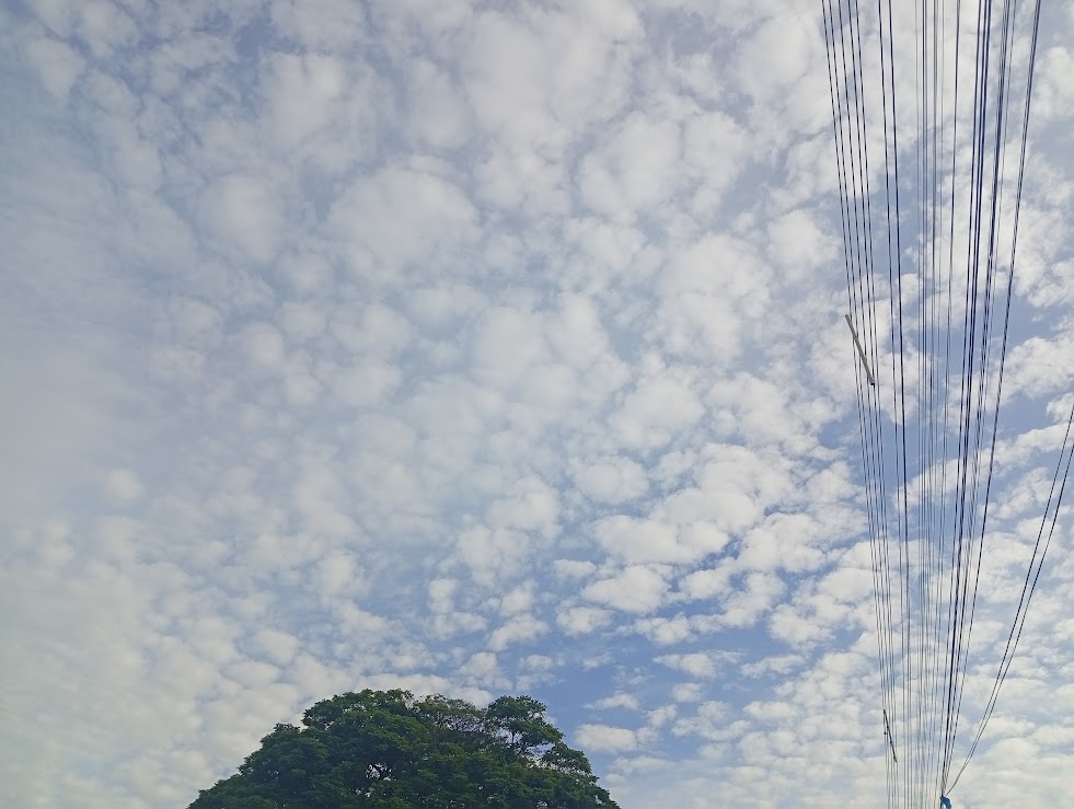 Dourados terá segunda-feira com calor e previsão de chuva ao longo do dia