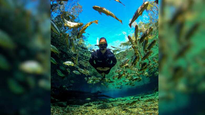 Rio da Prata supera Pão de Açúcar e Inhotim e vence prêmio nacional de turismo