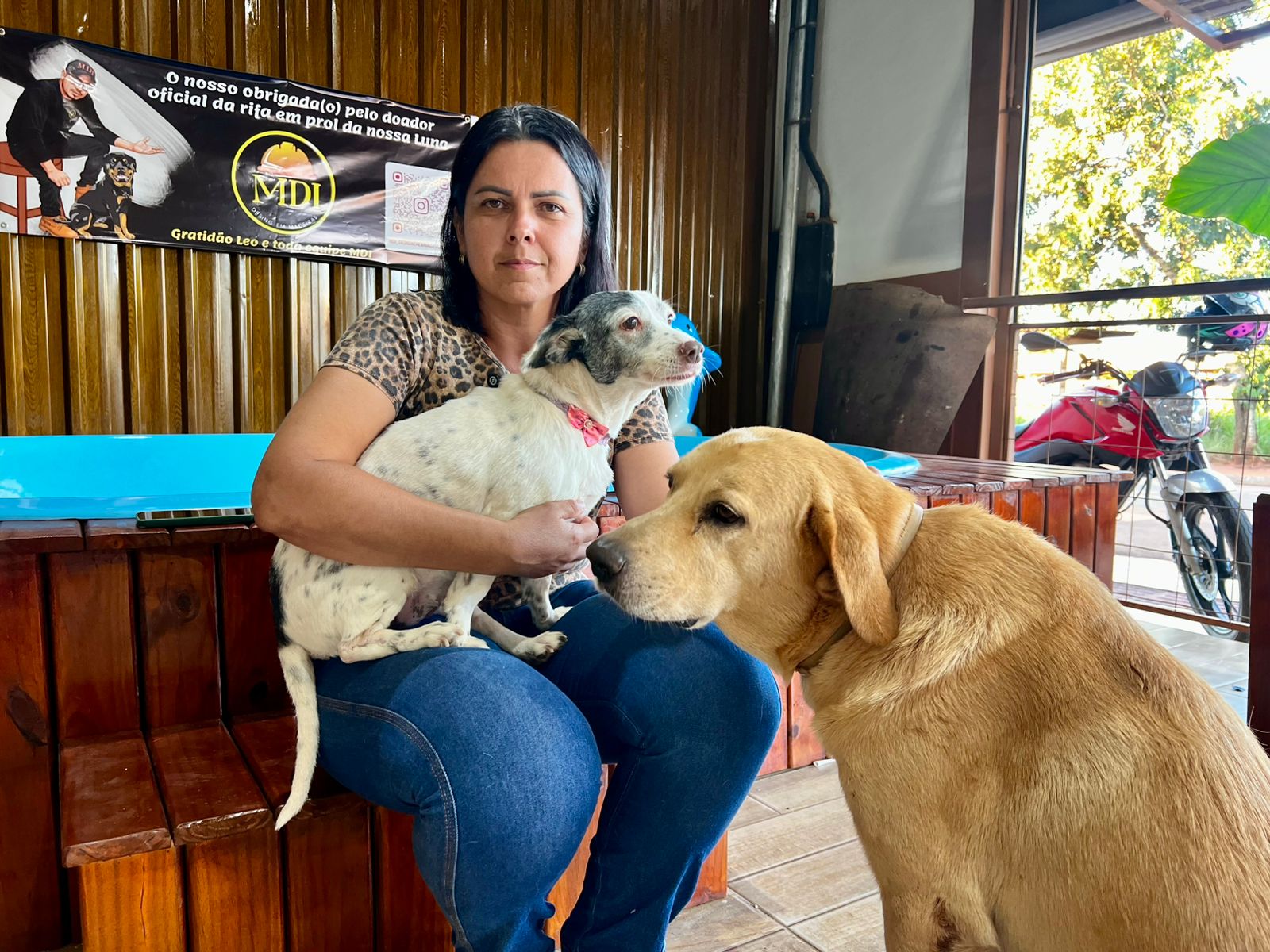 PROTETORA INDEPENDENTE CUIDA DE 30 ANIMAIS E BUSCA APOIO EM CAMPO GRANDE